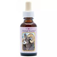 Animal Essences Bighorn sheep (schaap) 30 Milliliter - thumbnail