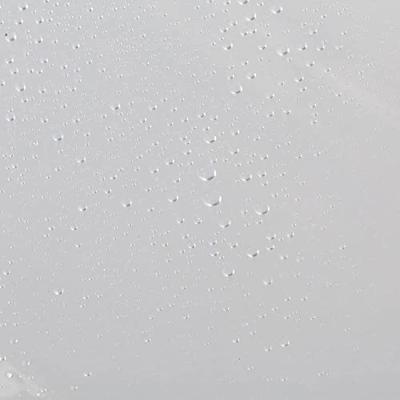 Douchegordijn Sealskin PEVA Clear 180x200 transparant