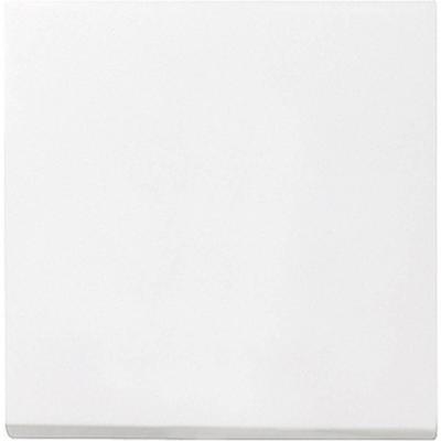 GIRA 029603 Wisselschakelaar, Uitschakelaar, Kruisschakelaar Afdekking System 55, Standaard 55, E2, Event, Event Clear, Event Opaque, Esprit, ClassiX Zuiver