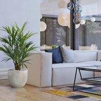 Kentia deluxe kunstpalm XL 140cm - thumbnail