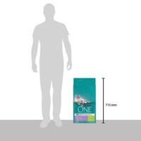 PURINA ONE Bifensis Sensitive droogvoer voor volwassen katten met kalkoen en rijstzak, 9,75 kg - thumbnail