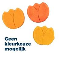 TRIXIE TULP MET KIPPENBORST ASSORTI - thumbnail