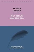 Het gelijk van Spinoza - Antonio Damasio - Paperback (9789028427877) - thumbnail