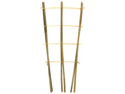 Bamboeplantrekje h60b24 cm s2st Driesprong Collection - Driesprong collection