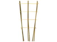 Bamboeplantrekje h60b24 cm s2st Driesprong Collection - Driesprong collection - thumbnail