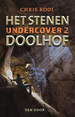 Het stenen doolhof (Hardback)