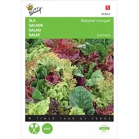 Zaden Sla Babyleaf mengsel Buzzy - Buzzy - thumbnail