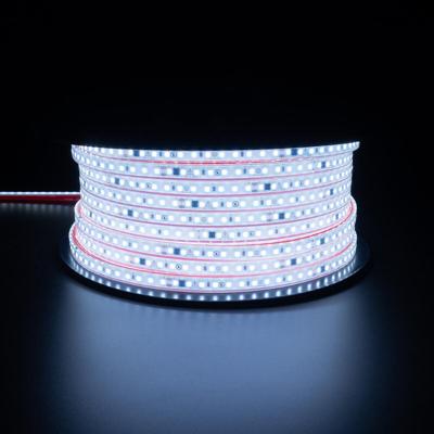 Velvalux LED Strip 50m - Koud Wit 6000K - Dimbaar & Waterdicht IP67