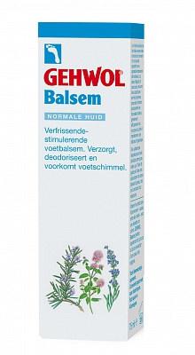 Gehwol Balsem droge gesprongen huid 125 Milliliter Gehwol Balsem droge gesprongen huid 125 Milliliter