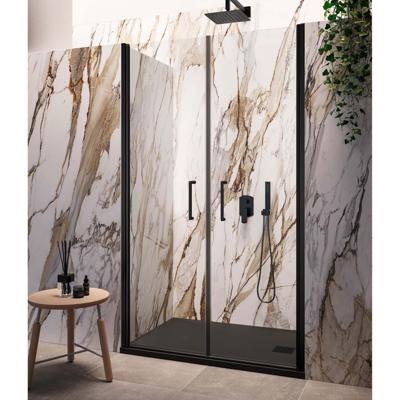 Nisdeur Lacus Giglio Evo Saloon 2 Klapdeuren 100x200 cm Helder Glas Zwart Lacus