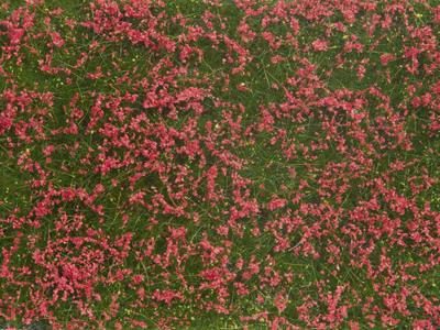 NOCH 07257 Bodembedekker Landschap bouw Rood