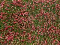 NOCH 07257 Bodembedekker Landschap bouw Rood - thumbnail