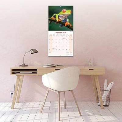 Kikker Kalender 2026 - thumbnail
