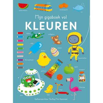 Rebo Publishers Mijn gigaboek vol kleuren