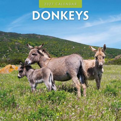 Ezel Kalender 2027 Ezel Kalender 2027