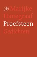 Proefsteen - Marijke Hanegraaf - ebook - thumbnail