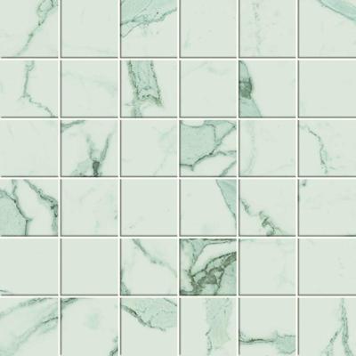 Exigo Statuario mat mozaiek 5x5 op net van 30x30