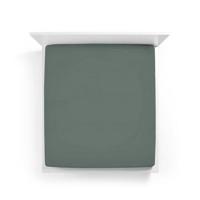 Bella Donna Bella Donna Hoeslaken Jersey Lits-jumeaux XL vintage groen - 0634 200/220-200/240 - thumbnail