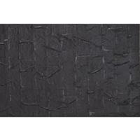 Auhagen 52245 H0, TT Daken Zwart (l x b) 200 mm x 100 mm - thumbnail