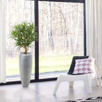 Draceana Reflexa Anita kunstplant 95cm - thumbnail