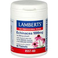 Lamberts Echinacea 1000mg + Zink + Vitamine C Tabletten - thumbnail
