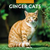 Rode Katten Kalender 2027 - thumbnail
