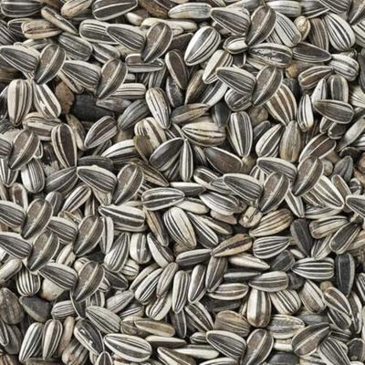 Vogelvoer Deli Nature Premium