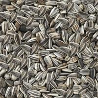 Vogelvoer Deli Nature Premium - thumbnail