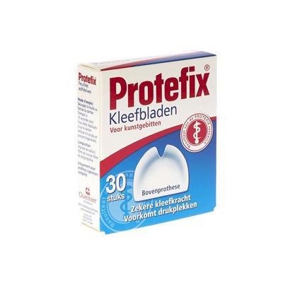 Protefix Kleefblad Boven 30 Revogan