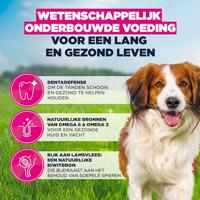 Eukanuba Hondenvoer Droog met lam & rijst voor kleine en middelgrote rassen – premium droogvoer voor volwassen honden, 12 kg - thumbnail