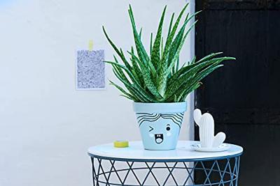 Edding glanslakmarker e-750 CR koper