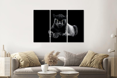 Schilderij - Zwarte panter, 120x80cm, 3 luik, premium print