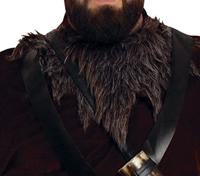 Viking kostuum Ivar - thumbnail