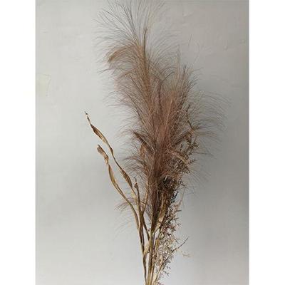 Pampas gras bosje met blad 75cm -bruin kunstbloem zijde nepbloem Buitengewoon de Boet - Buitengewoon de boet