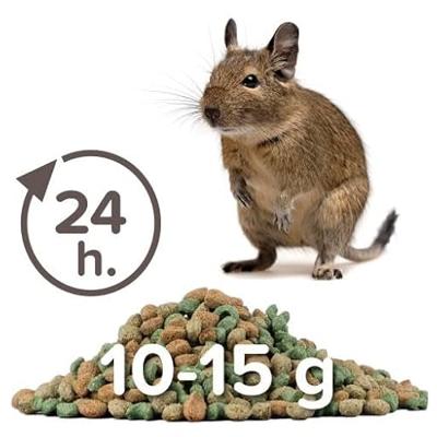 Beaphar Care+ Degoe 700g - hoogwaarde voeding voor degoes - heerlijke geur en smaak door kruiden - hoog ruwvezelgehalte - alles in 1 brokje