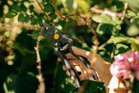 Fiskars Snoeischaar Pro bypass P90 - thumbnail