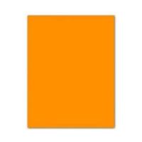 Fiches Iris Oranje 50 x 65 cm - thumbnail