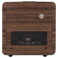 Telestar DABMAN d10 Persoonlijk Analoog Zwart, Hout - thumbnail