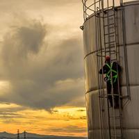 New Comers Strap Ponsa Ecosafex 2 - thumbnail