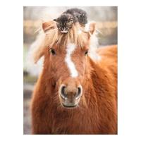 Ravensburger legpuzzel pony and cat - 500st. - thumbnail