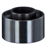 Palmlelie - thumbnail