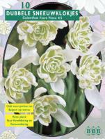 Sneeuwklokjes - thumbnail