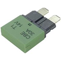 Hansor CBE1-3014 Zekeringautomaat standaard vlakzekering 30 A Groen 1 stuk(s) - thumbnail