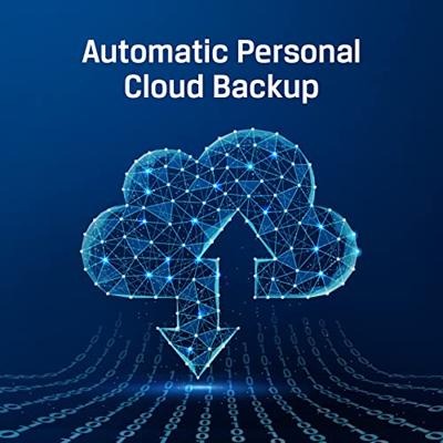 Kingston IronKey Locker+ 50 64 GB usb-stick Kingston IronKey Locker+ 50 64 GB usb-stick