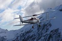 Canon EF 100-400mm F/4.5-5.6 L IS USM II (draaizoom) + ET-83D zonnekap - thumbnail