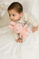 Nijntje Knuffel 20 cm Roze - thumbnail