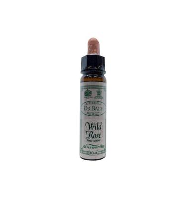 Ainsworths Wild rose Bach 10 Milliliter Ainsworths Wild rose Bach 10 Milliliter
