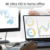 ACT USB-C naar Displayport 0,15m - thumbnail