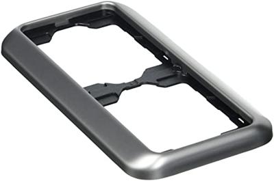 Busch-Jaeger 2-voudig Frame Frame Platina 2CKA001754A1629