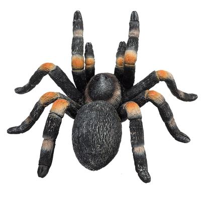 Mojo wildlife rode tarantula 387213